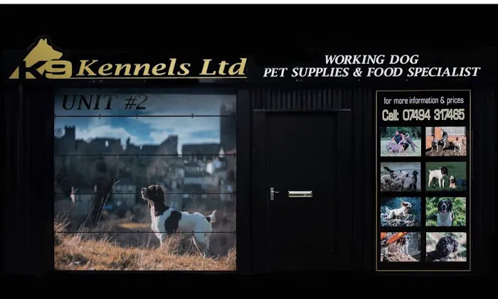 K9 Kennels Ltd Picture 4