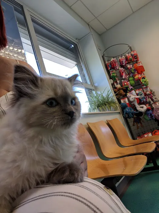 Vets for Pets - Durham Picture 6