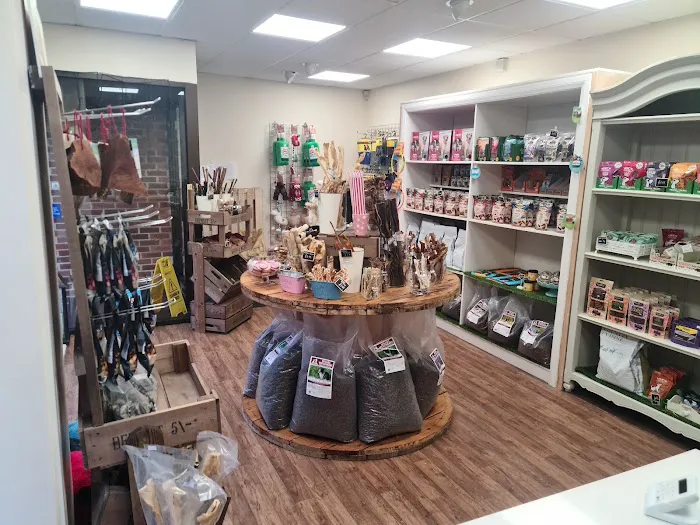 Holly’s Doggy Deli Picture 4