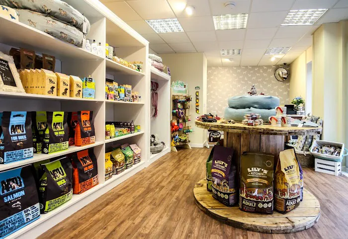 Holly’s Doggy Deli Picture 2