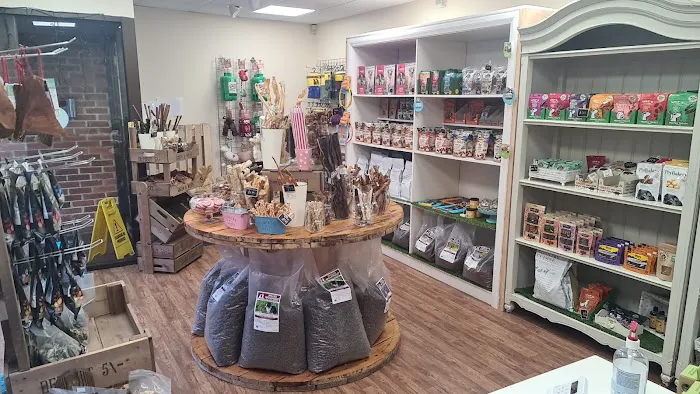 Holly’s Doggy Deli Picture 1