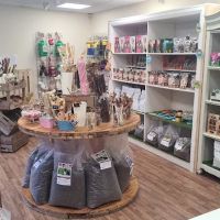 Holly’s Doggy Deli ico