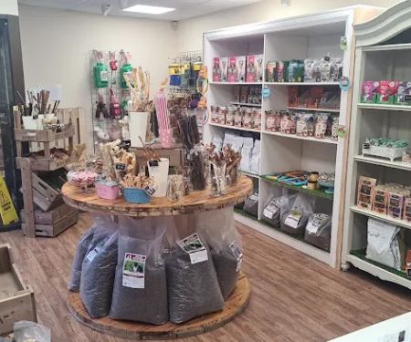 Hollyu2019s Doggy Deli