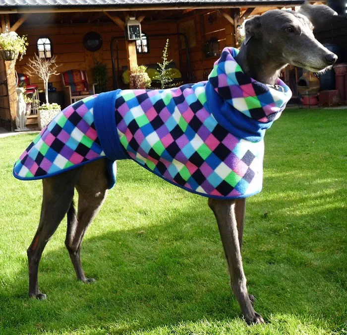 Totally Greyhound Picture 7