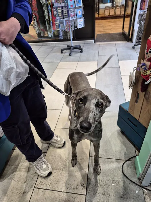 Puppy Sue's K-9 Kitchen Picture 5