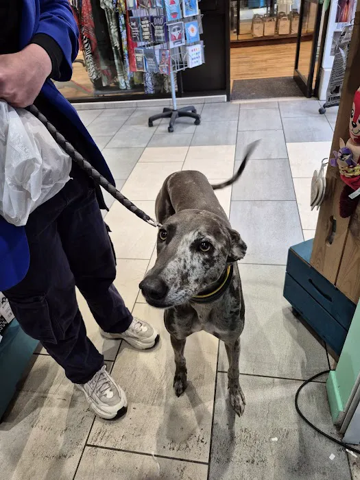 Puppy Sue's K-9 Kitchen Picture 6