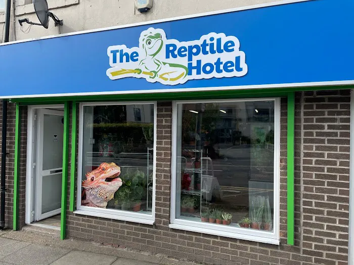 The Reptile Hotel Picture 1
