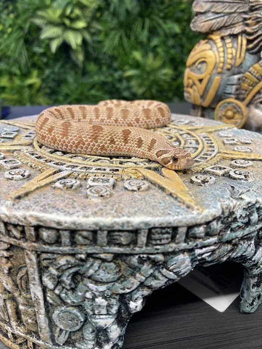 The Reptile Hotel Picture 9