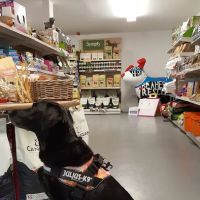 Kimi's Pet Emporium Pet Store ico