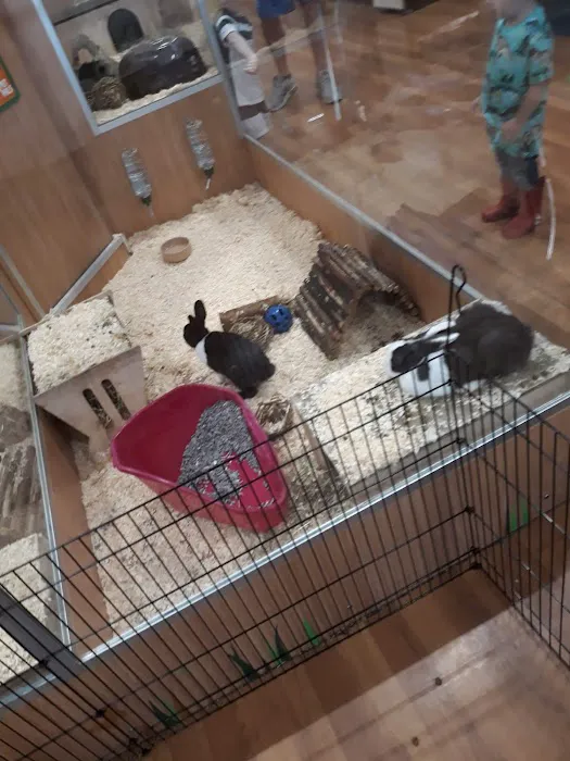 Pets at Home Washington Picture 7