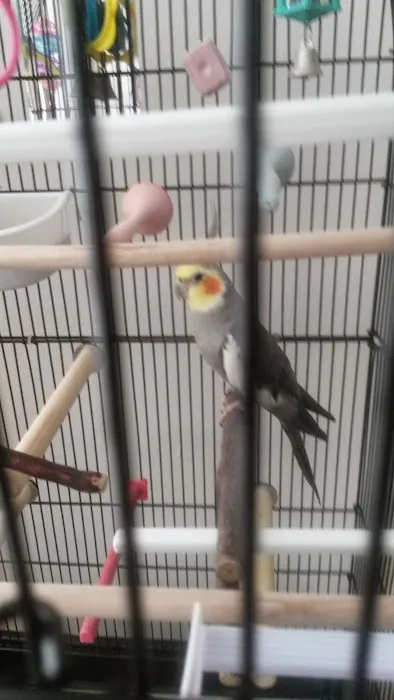 Pets at Home Washington Picture 3