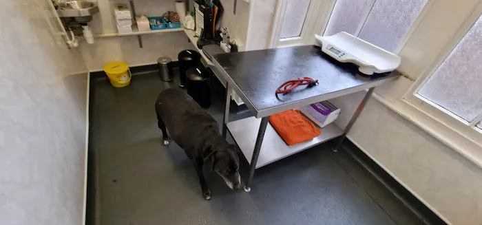 Medivet Darlington Stanhope Rd Picture 9