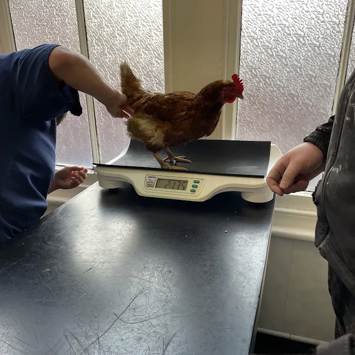Medivet Darlington Stanhope Rd Picture 7