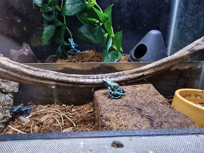 Penshaw Aquatics & Reptile - Reptiles in Sunderland Picture 8