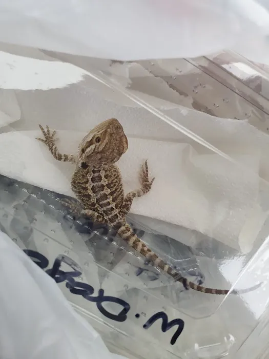 Penshaw Aquatics & Reptile - Reptiles in Sunderland Picture 6