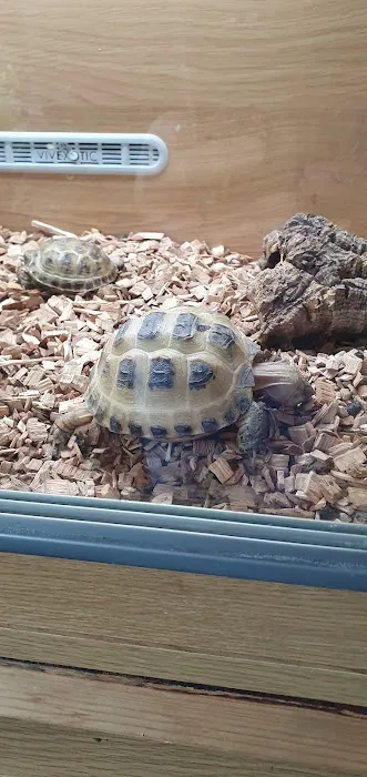 Penshaw Aquatics & Reptile - Reptiles in Sunderland Picture 2