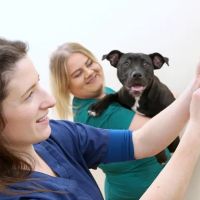 Westway Veterinary Group, Eden Hill ico
