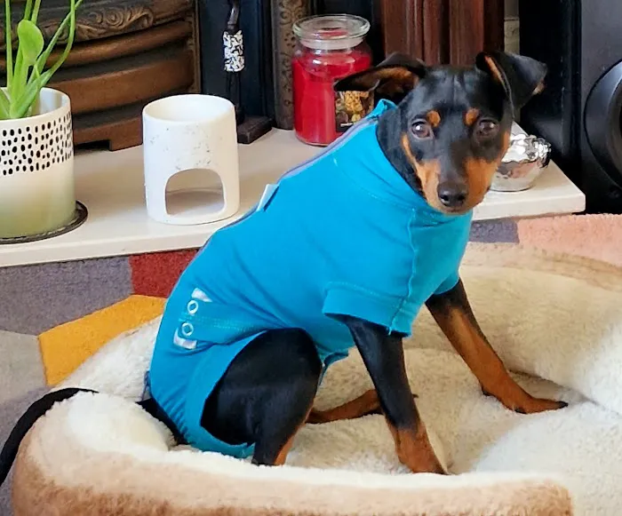 Westway Veterinary Group, Eden Hill Picture 8