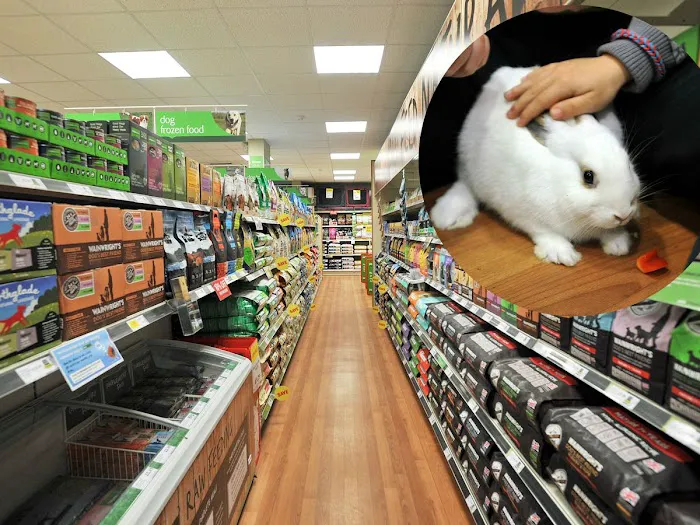 Pets at Home Sunderland Picture 5