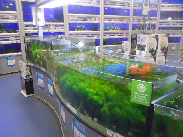 Pets at Home Sunderland Picture 3