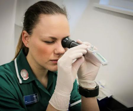 Westway Veterinary Group, Darlington