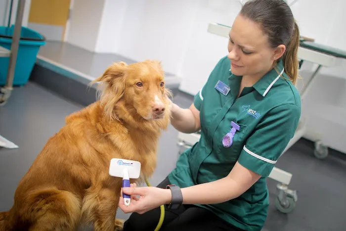 Westway Veterinary Group, Darlington Picture 9
