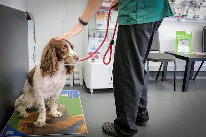 Westway Veterinary Group, Darlington Picture 6