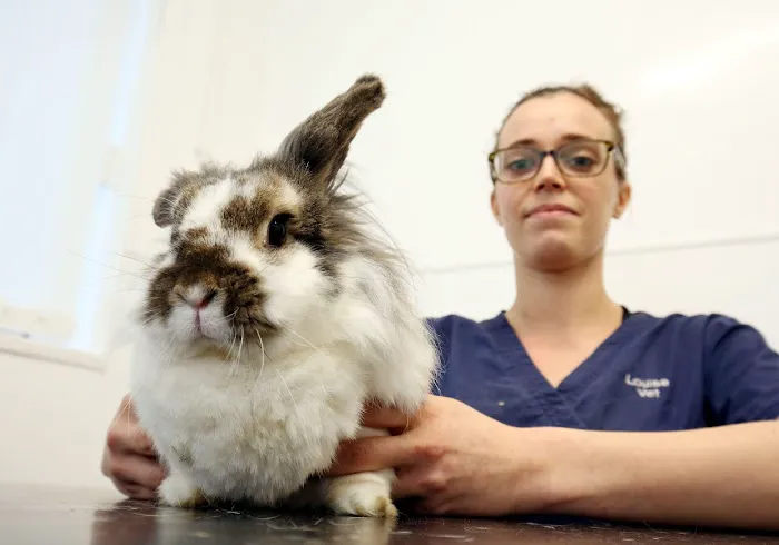 Westway Veterinary Group, Darlington Picture 3