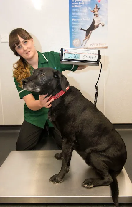 Westway Veterinary Group, Darlington Picture 2