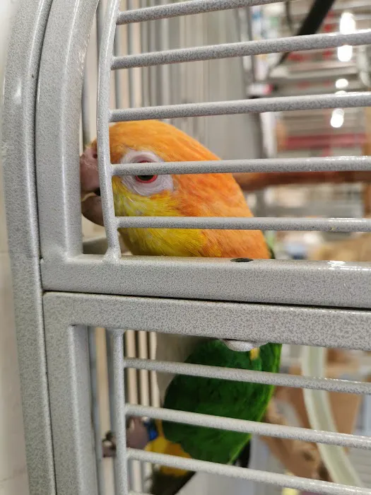 Garden Feathers Picture 1