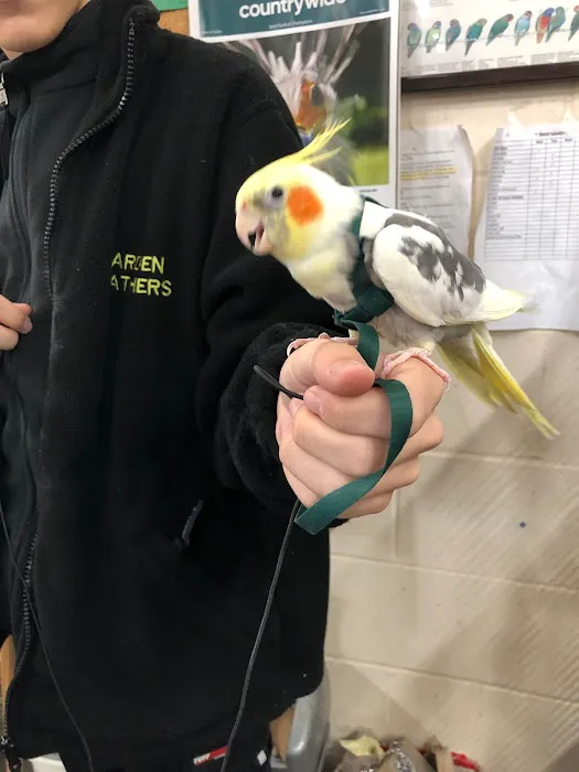 Garden Feathers Picture 3