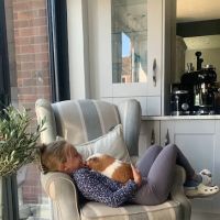 Vets4Pets - Darlington ico