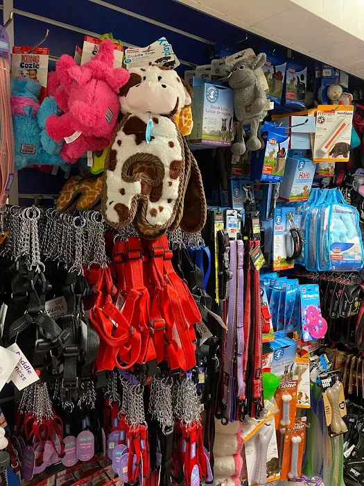 Warwick Whelping Picture 8