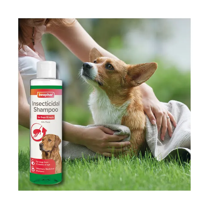 Warwick Whelping Picture 2