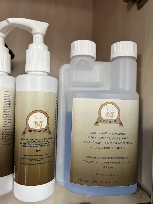 Warwick Whelping Picture 5