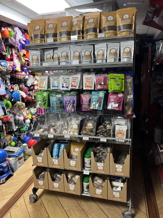 Warwick Whelping Picture 7