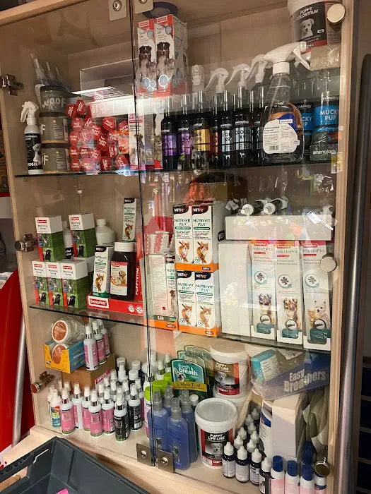 Warwick Whelping Picture 4