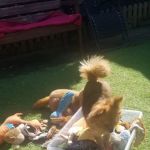 Jacqui Paterson’s Vets
