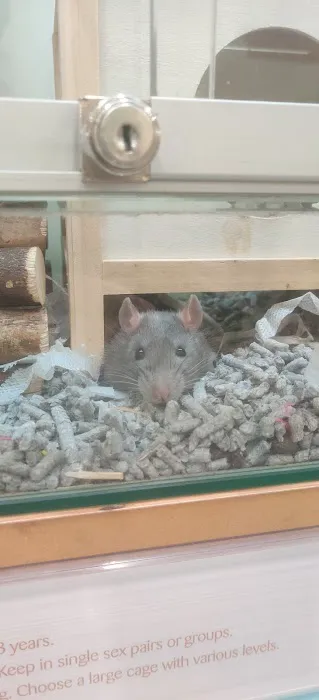 Pets at Home Darlington Picture 10