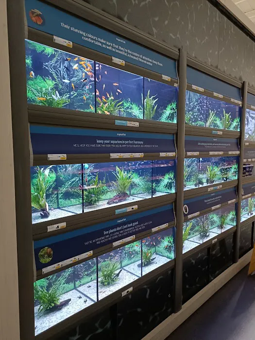 Pets at Home Darlington Picture 8