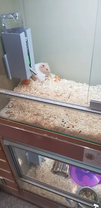 Pets at Home Darlington Picture 1