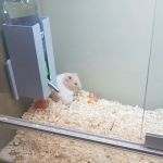 Pets at Home Darlington