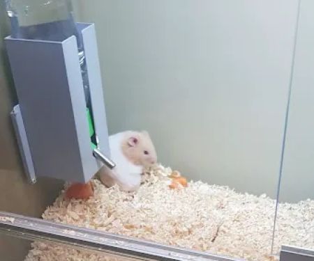 Pets at Home Darlington