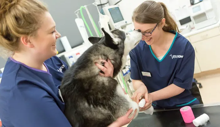 Vets Now Middlesbrough Picture 2