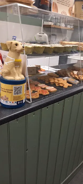 Wags & Whiskers Pet Boutique Ltd Picture 2