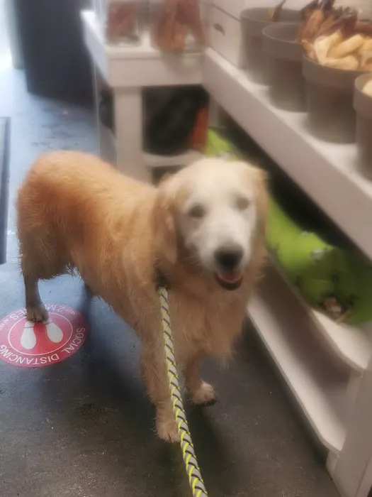 Wags & Whiskers Pet Boutique Ltd Picture 1