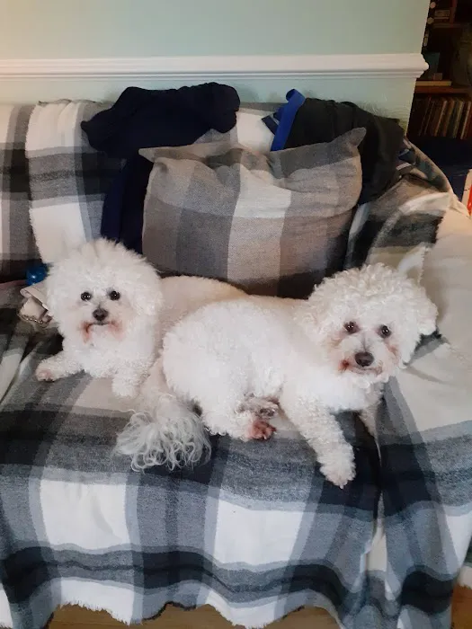 Wags & Whiskers Pet Boutique Ltd Picture 9