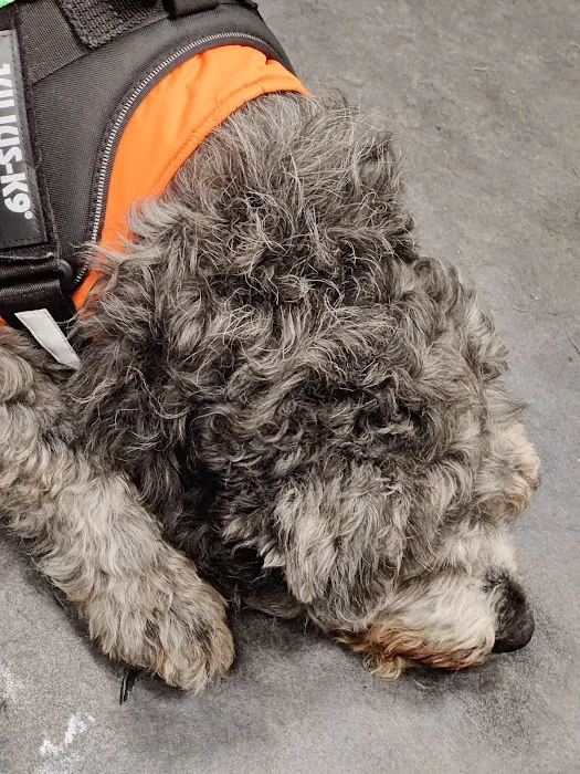 Wags & Whiskers Pet Boutique Ltd Picture 8