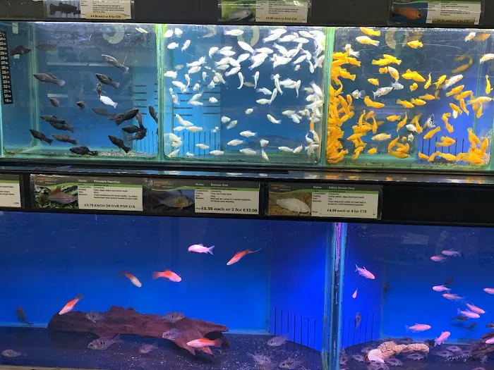 Maidenhead Aquatics Stockton Picture 8