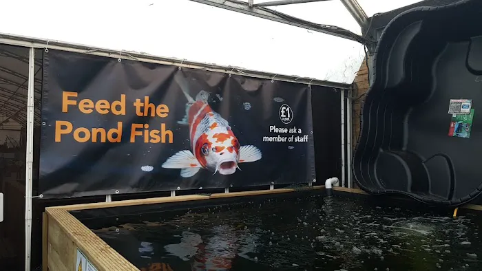 Maidenhead Aquatics Stockton Picture 7